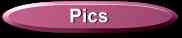 pics.jpg (1489 bytes)